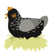 A sable and ash chicken with a half-lace pattern