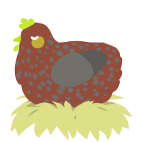 A russet and grey chicken with a speckle pattern