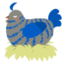A ash and ultramarine chicken with a bar pattern