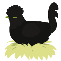 A black and sable chicken with a head pattern