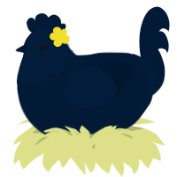 A tumblr chicken with a head pattern