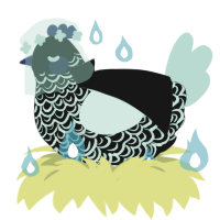 Zahir, a black and mint chicken with a double-lace pattern