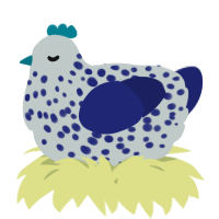 A silver and navy chicken with a speckle pattern