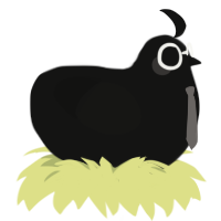 A black chicken
