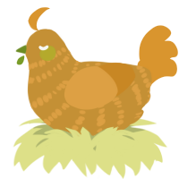 A gold and orange chicken with a bar pattern