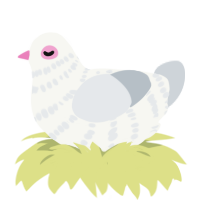 Rock Dove, a white and mist chicken with a bar pattern