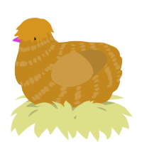 A ochre and gold chicken with a bar pattern
