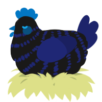 A sable and navy chicken with a bar pattern