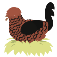 Pinecone, a russet and black chicken with a lace pattern