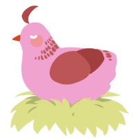A pink and red chicken with a neck-band pattern