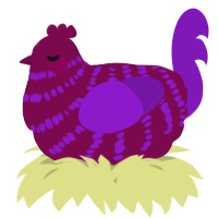 A wine and violet chicken with a bar pattern