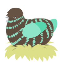 Mint Choco, a bark and mint chicken with a bar pattern