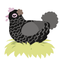 A sable and grey chicken with a lace pattern