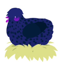 A navy and tumblr chicken with a speckle pattern