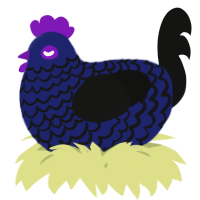 A navy and black chicken with a lace pattern