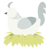 ghost, a white and silver chicken with a neck-speckle pattern