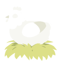 A white chicken with a head pattern
