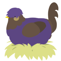A overcast and bark chicken with a head pattern