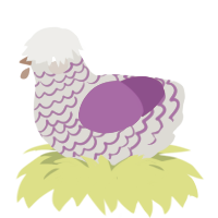 Prodigy, a ash and violet chicken with a lace pattern