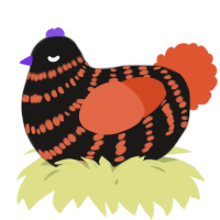 A sable and vermilion chicken with a bar pattern