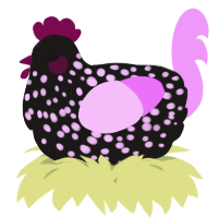 A sable and lavender chicken with a speckle pattern