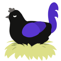 The Paranoid, a black and indigo chicken