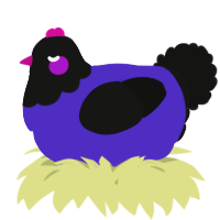 A indigo and black chicken with a head pattern