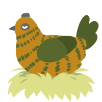 A ochre and olive chicken with a bar pattern