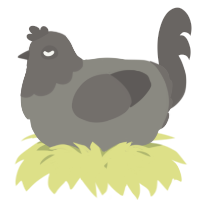 A ash and grey chicken with a head pattern