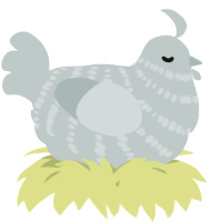 A silver chicken with a bar pattern