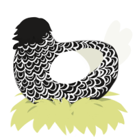 A sable and white chicken with a double-lace pattern