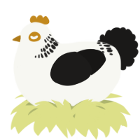 A white and sable chicken with a neck-band pattern