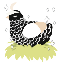 Billy Bob, a black and cream chicken with a lace pattern