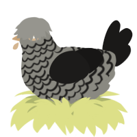 A ash and sable chicken with a lace pattern