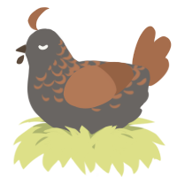 A grey and brown chicken with a half-lace pattern