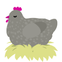 A ash chicken with a speckle pattern