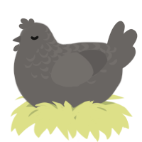 A grey chicken with a half-lace pattern