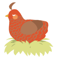 A vermilion and brown chicken with a lace pattern