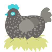 A grey and ash chicken with a speckle pattern