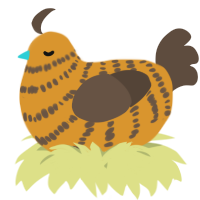 A orange and bark chicken with a bar pattern