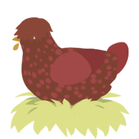 haemorrhoid, a russet and red chicken with a speckle pattern