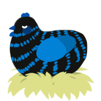 A black and sapphire chicken with a bar pattern