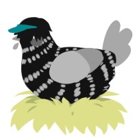 A black and mint chicken with a bar pattern