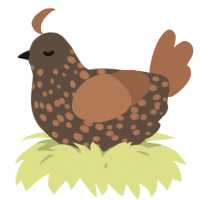 A bark and brown chicken with a speckle pattern