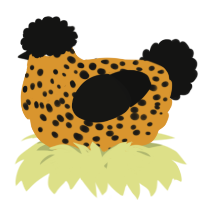 A orange and black chicken with a speckle pattern
