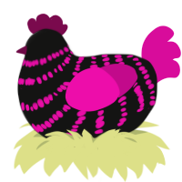 Little Topic, a black and fuchsia chicken with a bar pattern