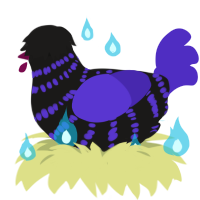 90s Topic, a sable and indigo chicken with a bar pattern