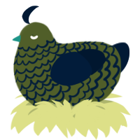 A olive and tumblr chicken with a lace pattern