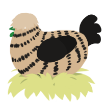 A beige and sable chicken with a bar pattern