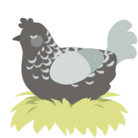 snowy summit, a grey and silver chicken with a half-lace pattern